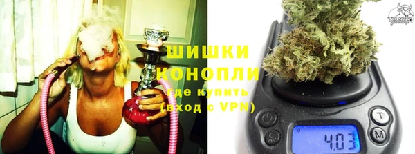 спайс Арсеньев