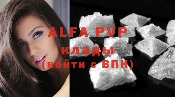 спайс Арсеньев