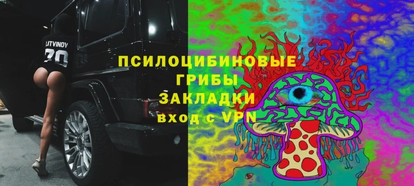спайс Арсеньев