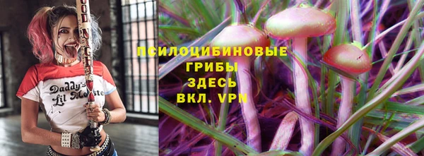 ПСИЛОЦИБИНОВЫЕ ГРИБЫ Аркадак