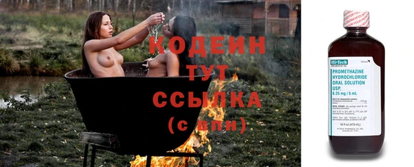 ПСИЛОЦИБИНОВЫЕ ГРИБЫ Аркадак