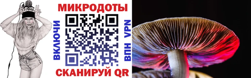 Псилоцибиновые грибы Psilocybe  как найти закладки  Льгов 